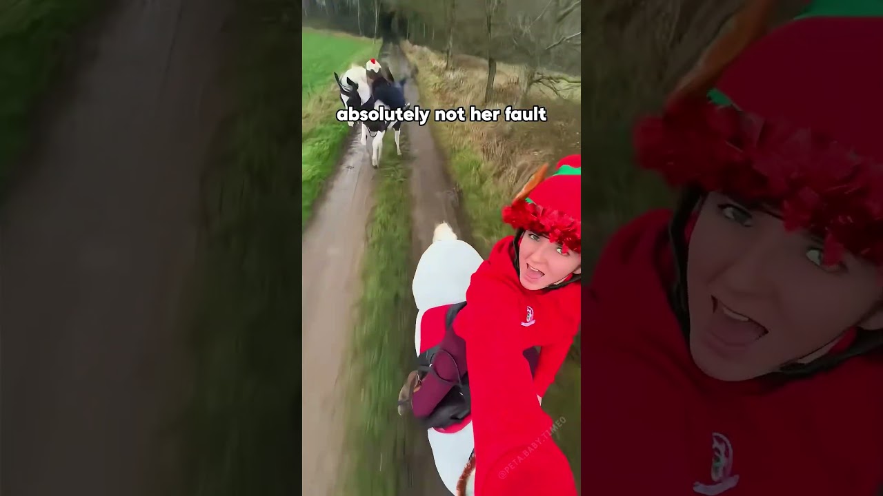 Master Equestrian Showing Off Skills