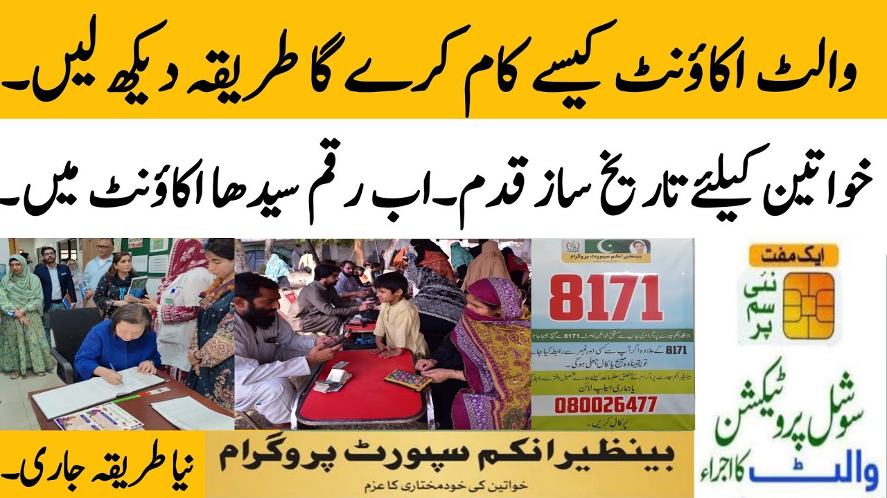 How BISP Wallet & Account Work 💰