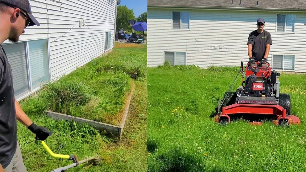 Transforming a Disaster Yard into a Dream Home 🌿