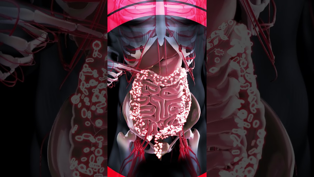 गोंद कतीरा का सही सेवन कैसे और कब करें? पूरी जानकारी यहाँ 🩺