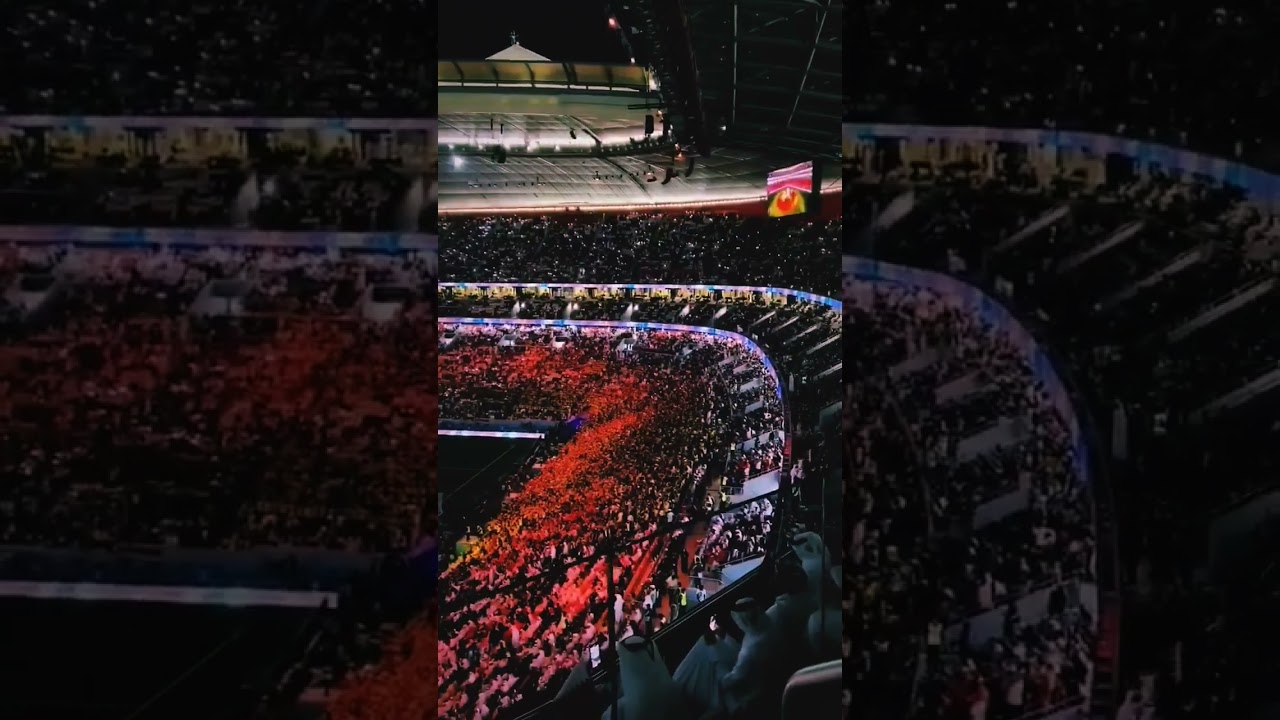 Stay Calm and Celebrate! Highlights from FIFA World Cup Qatar 2022 ⚽