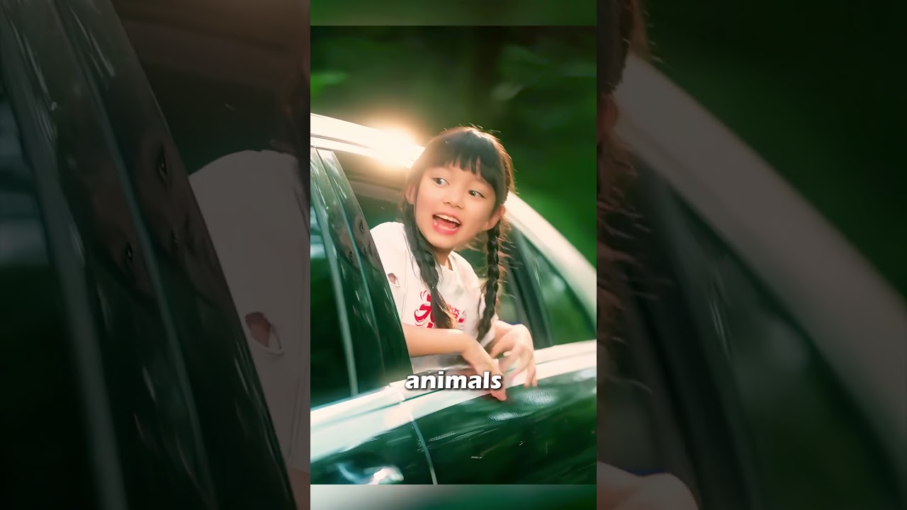 The Girl: A Heartwarming Lucky Charm in This Drama Movie ✨