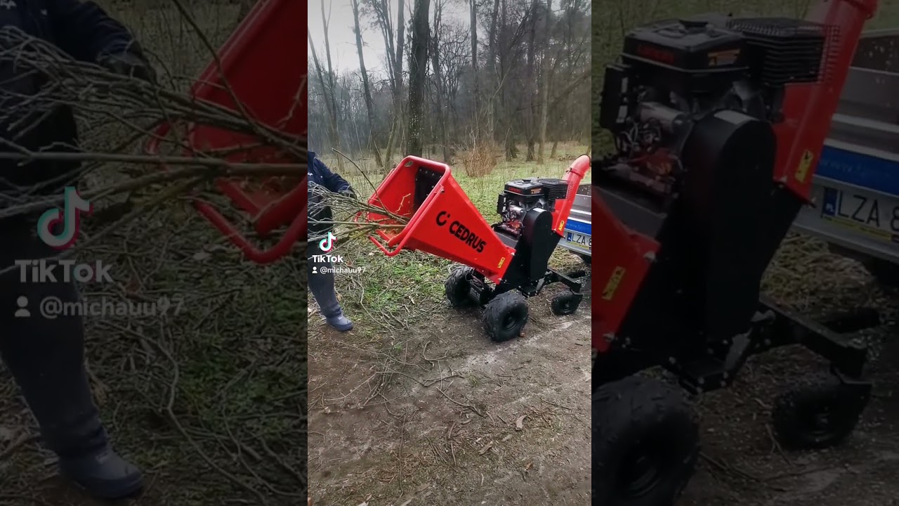 Cedrus RB04 Pro E Rębak – Profesjonalny Rozdrabniacz do Drewna 🌲