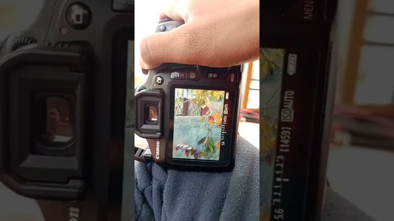 Photography Tips for Canon 1500D DSLR