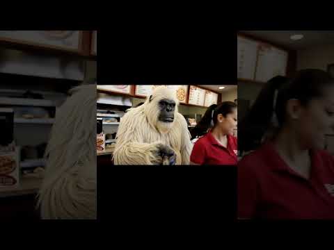 Aujourd’hui, le Yeti fait une commande pour les SDF. #ia #animaux #veo #veo3 #memes #yeti #humour