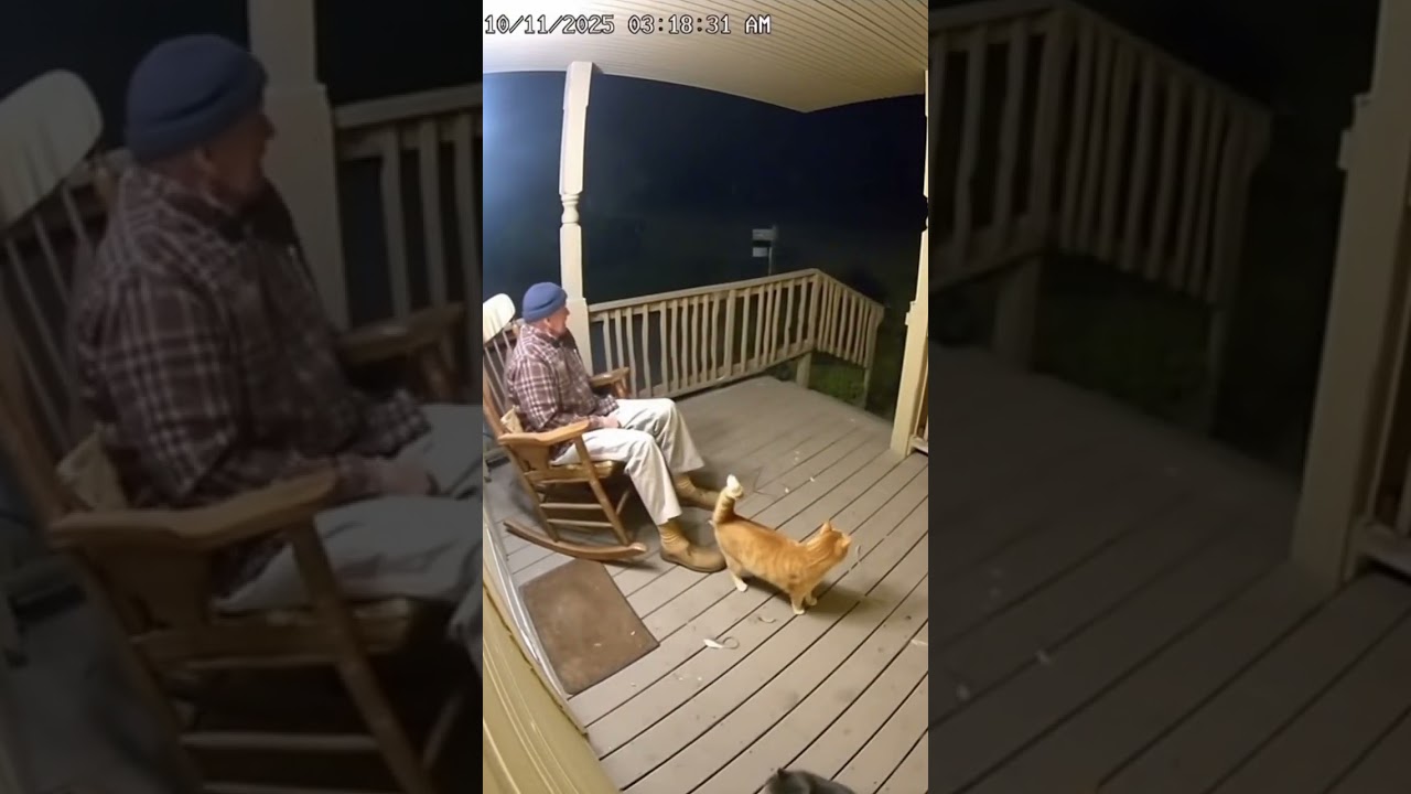 Cats Save Man from Bear Attack 🐻