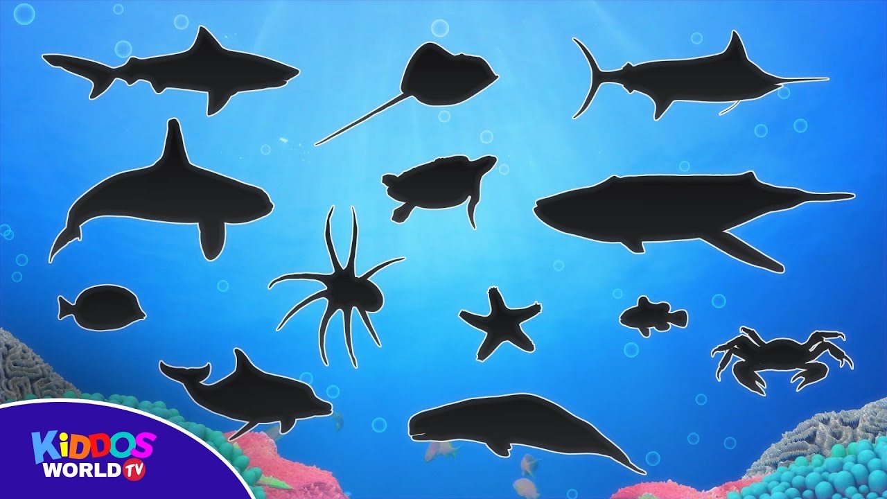 Fun Ocean Animal Names & Puzzle for Kids 🌊 | Learn Sea Creatures with Videos
