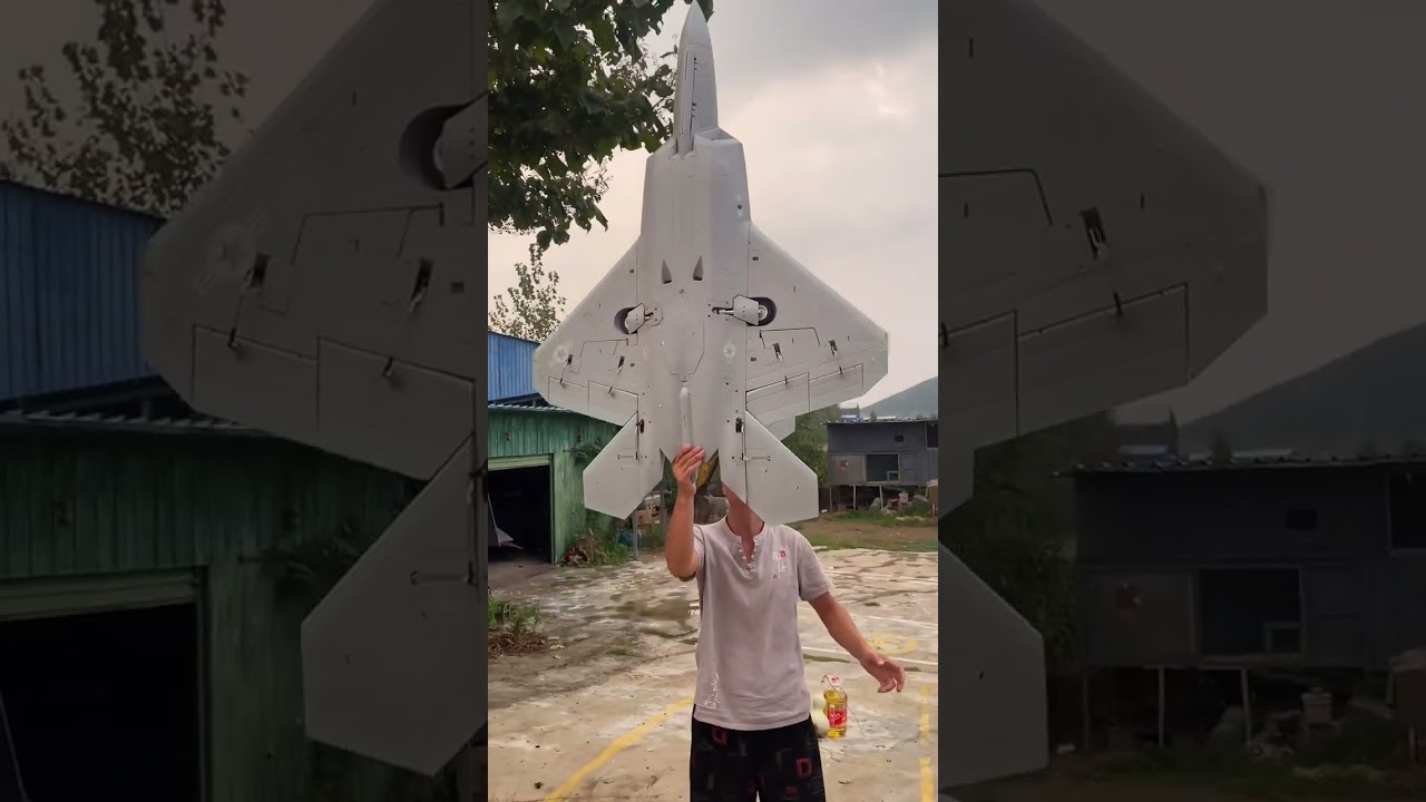 RC F-22 Raptor in Action