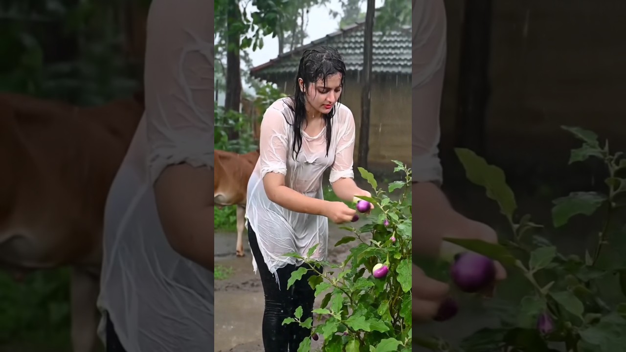 Farming During Heavy Rain 🌧️ | Relaxing Rain Sounds