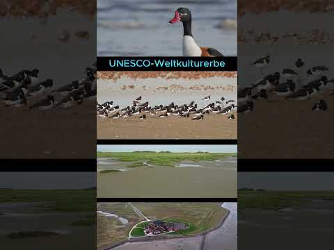 noch 32 Tage bis zur BTW25