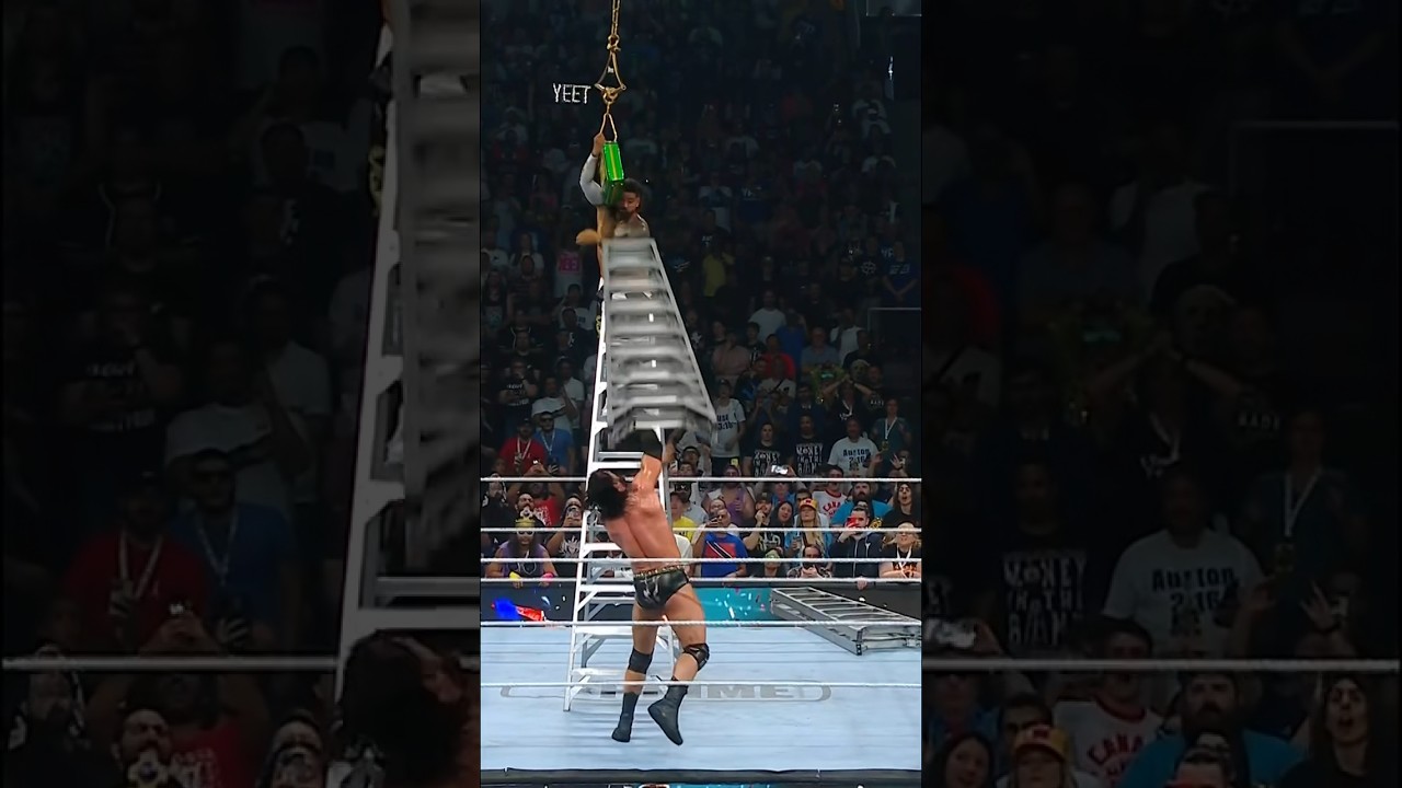 Ladder to the FACE! 😮💨🪜