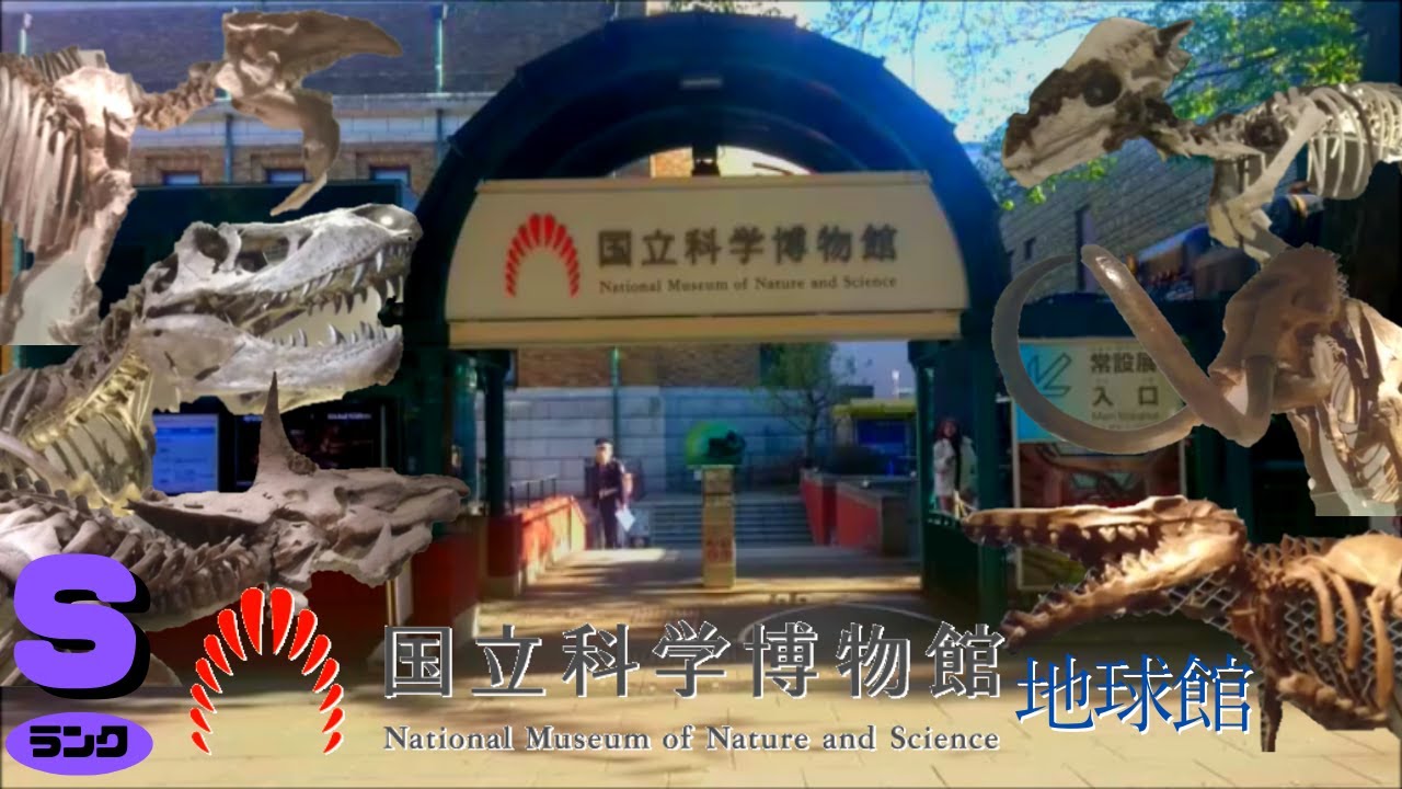 国立科学博物館・地球館で古生物の宝庫を探検🦖
