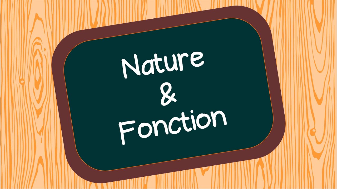 Cours Gratuit: Nature et Fonction pour Collège 📘