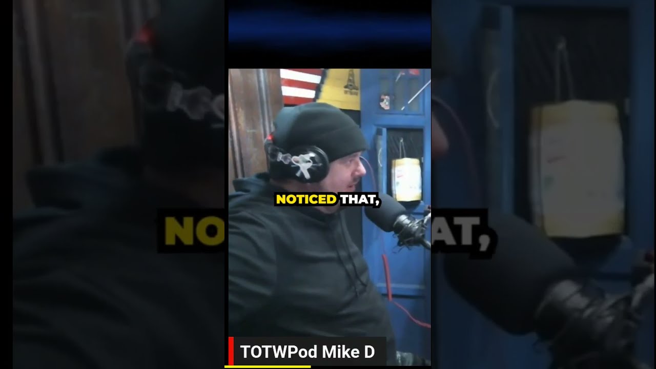 AI vs. Algorithm: What's the Difference? 🎙️