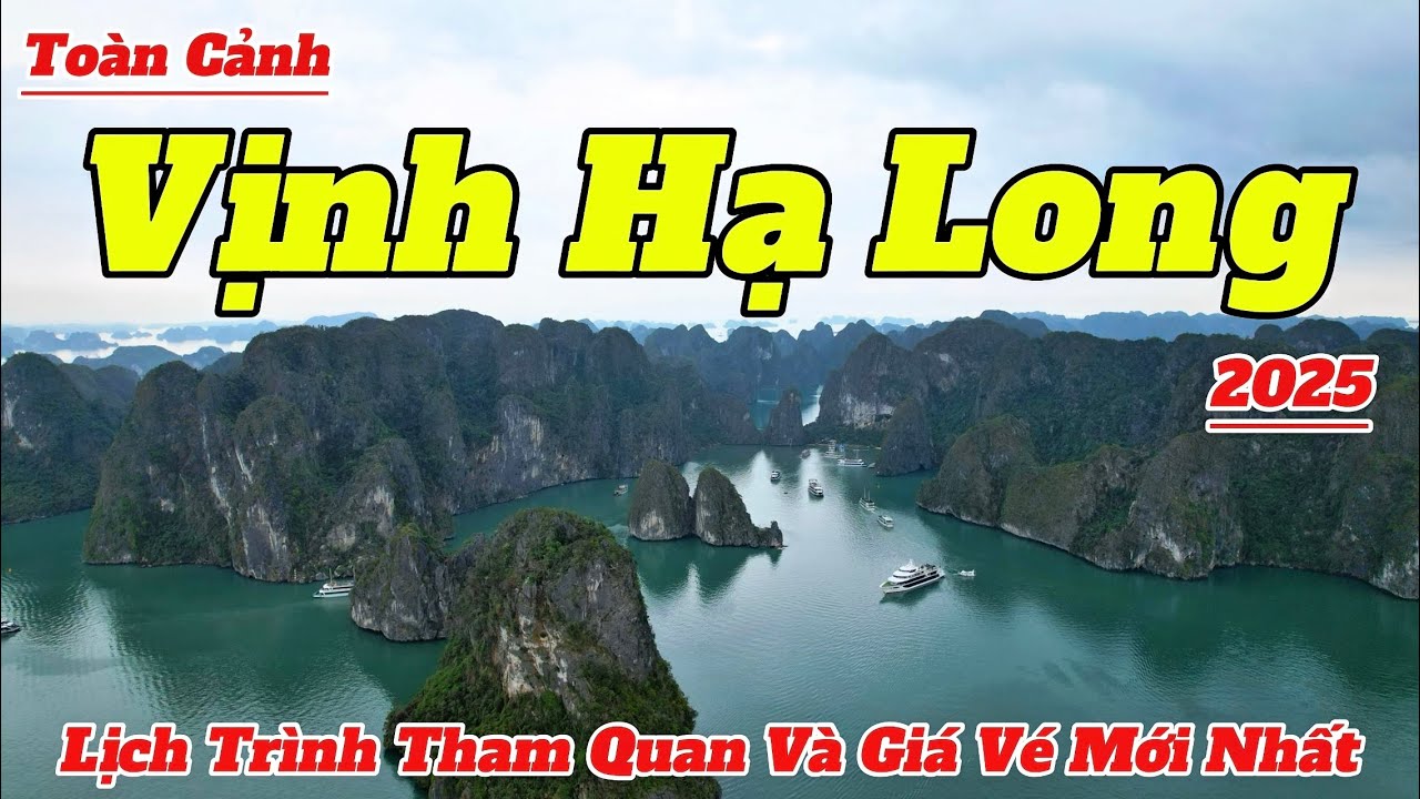 Khám Phá Vịnh Hạ Long 2025: Hướng Dẫn Lịch Trình & Giá Vé Chi Tiết 🚤