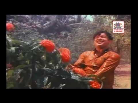 Aayiram Ninaivu Song | SPB & Gemini Ganesan 🎶