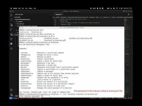 Use a PKCS12 keystore with Zowe generated certificate 4 - Run keytool command for verification