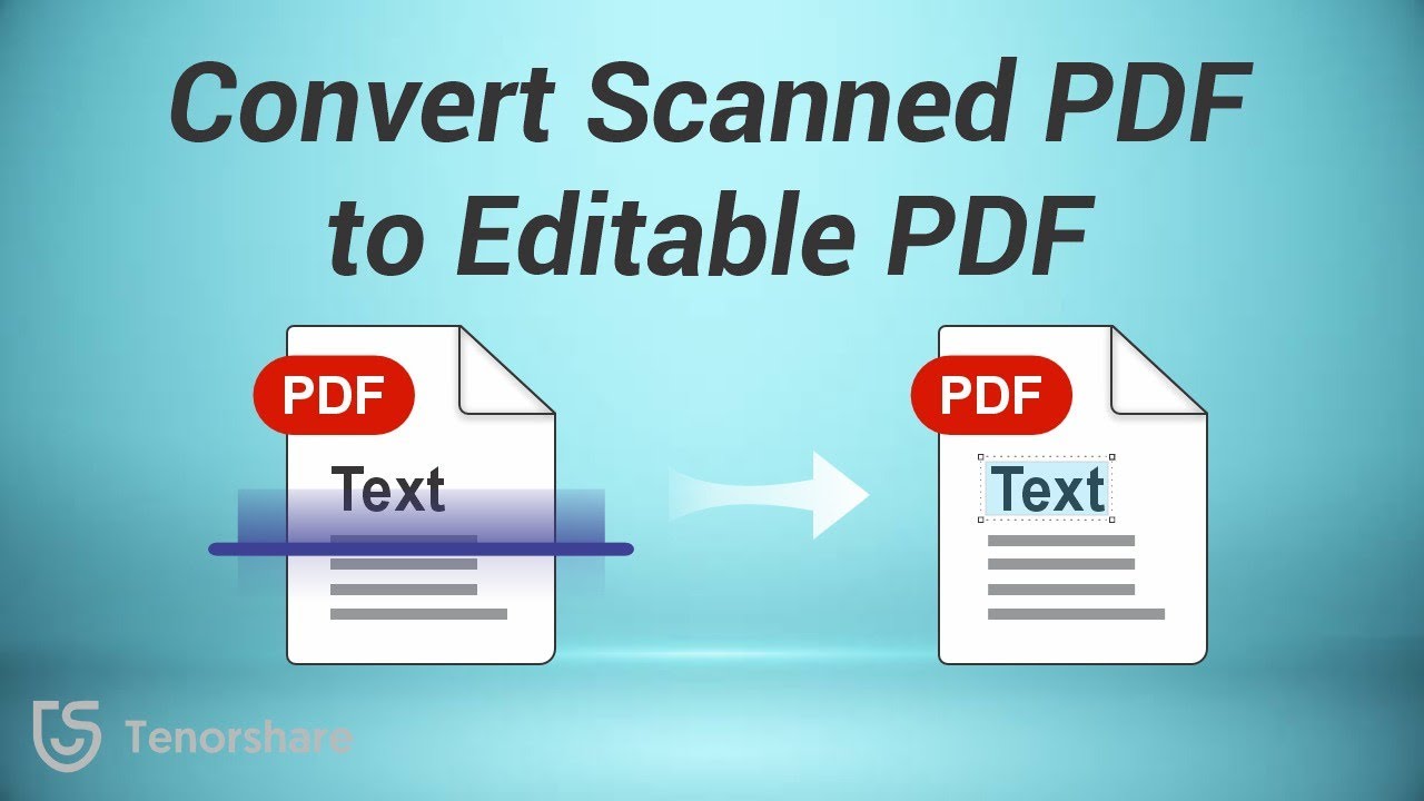 Convert Scanned PDF to Editable Word 📄