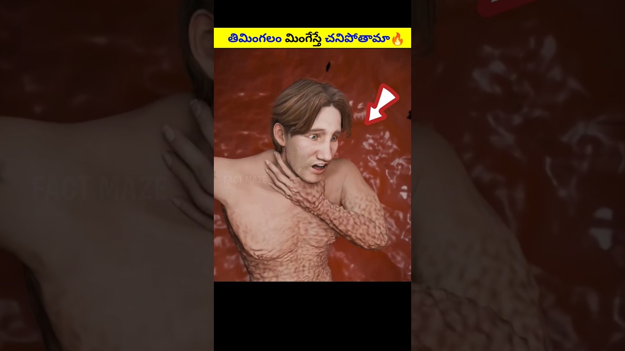 What Not to Do If Swallowed by a Whale π