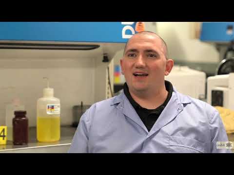 Day in the Life- MCSO Crime Lab Analyst