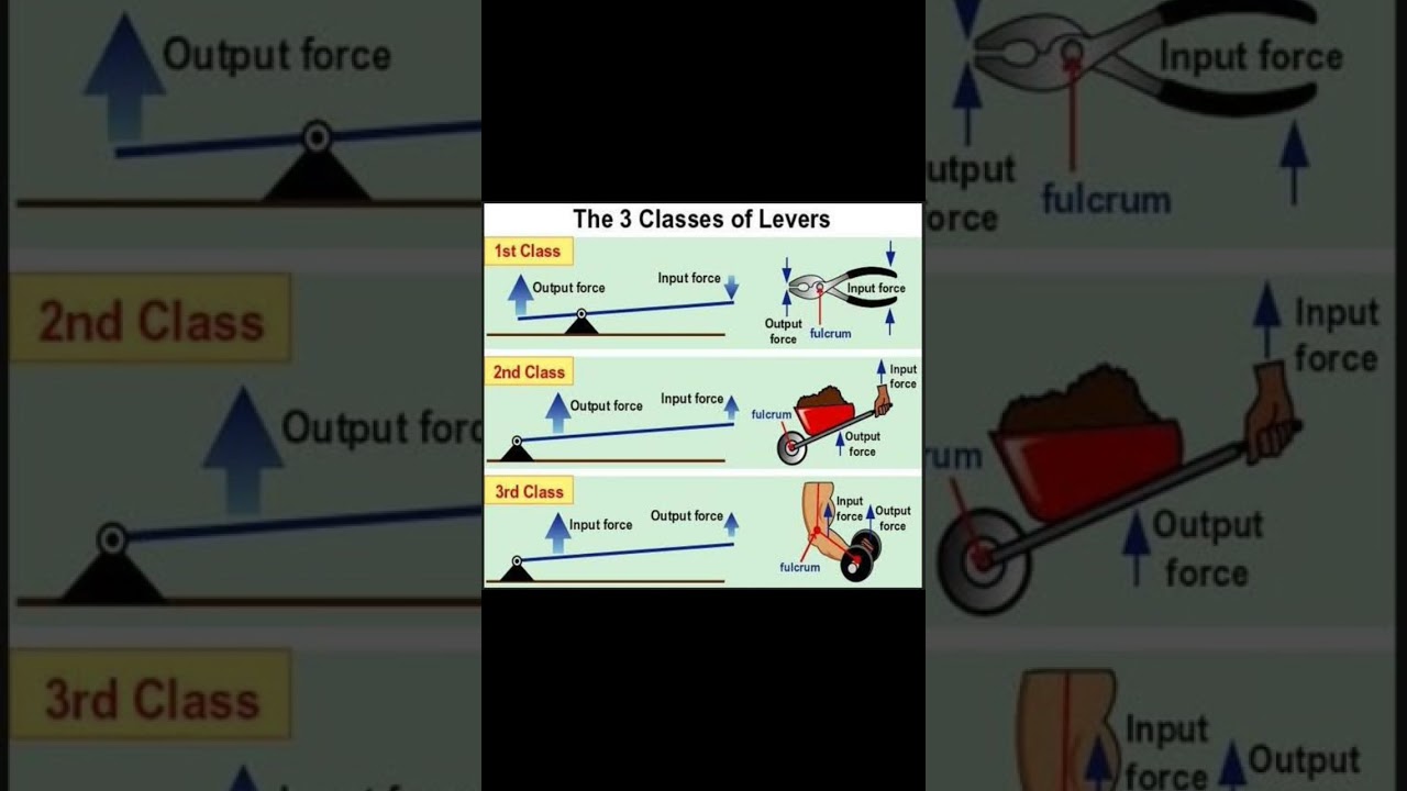 The 3 3 Classes of Levers Explained