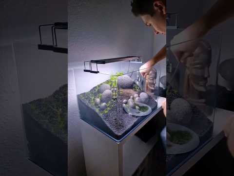 My Full Iwagumi Aquascape Build video with all the tips you need to create your own planted aquarium