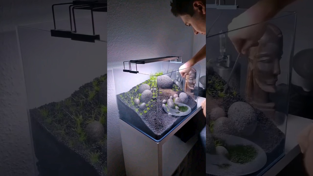 My Complete Iwagumi Aquascape Build 🌿