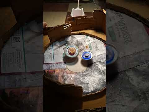 zest achilles vs cosmic pegasus #balk #breakerbattlogue #pibo #bixenon #ibble #babi #gabi