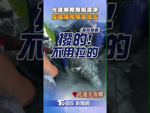 光復鄉狗狗受困泥濘險滅頂!　高雄搜救隊「徒手開挖」獲救｜TVBS新聞@TVBSNEWS01