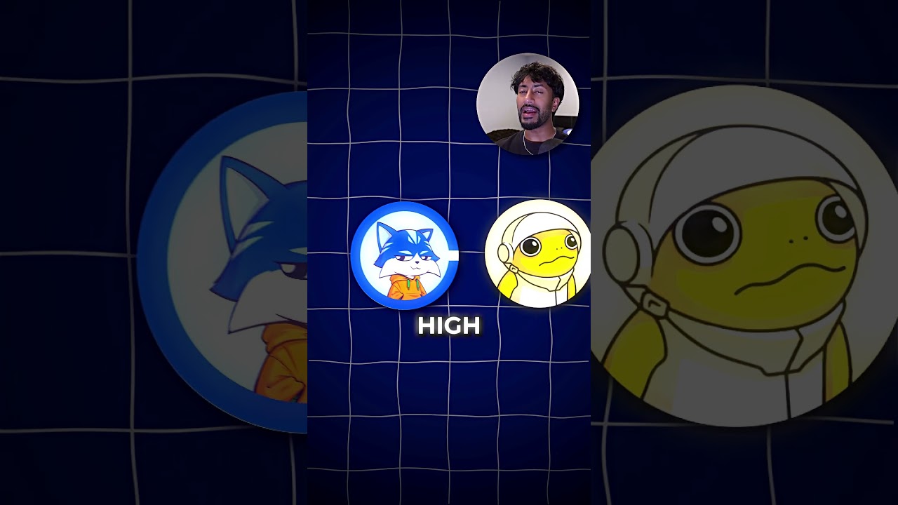 $TOSHI's Growth Might Surprise You π