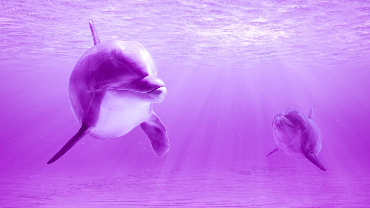 Deep Healing Energy: 528Hz Frequency Sound Healing Session for Zen Meditation