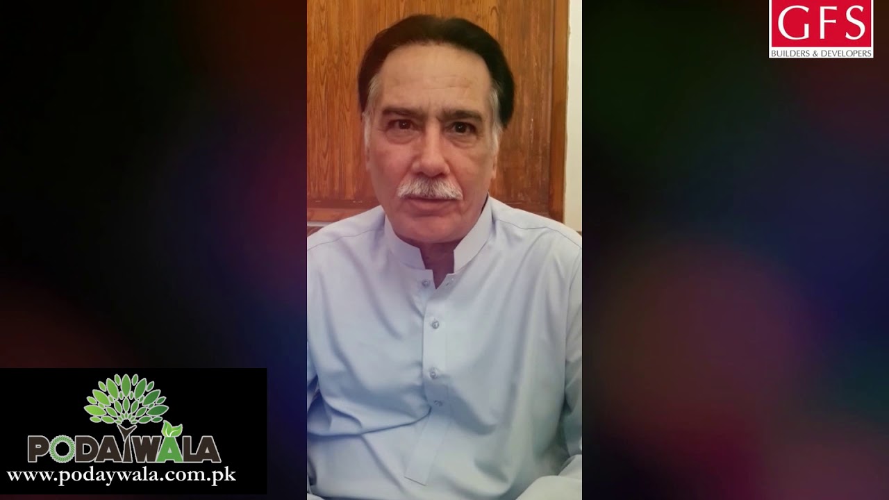 Hashim Butt Shares His Honest Feedback on PodayWala.com.pk ⭐