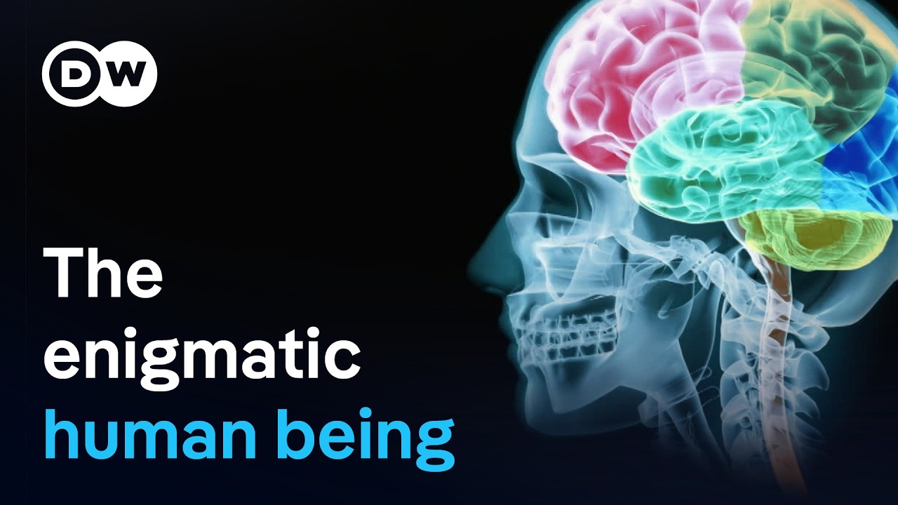 What distinguishes humans from animals? | DW Documentary
