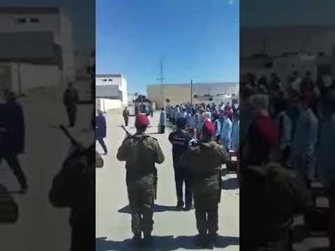 نساء بلادي .. تونس تعيش   Karim Gharbi