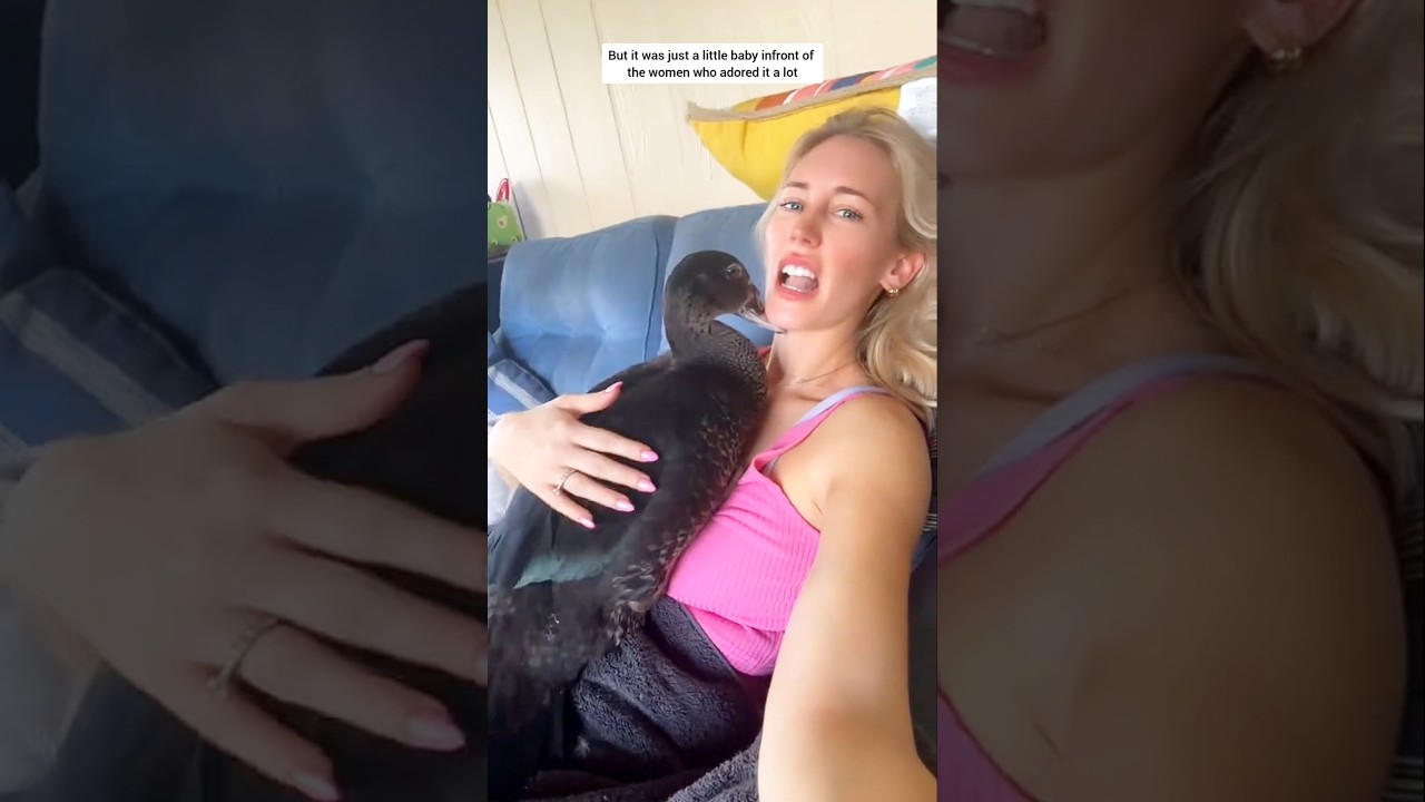 Heartwarming Rescue: A Baby Duck’s Unexpected Encounter 🦆