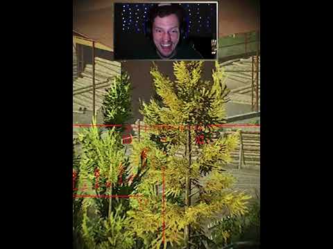 My Longest Range Kills in Escape from Tarkov π―