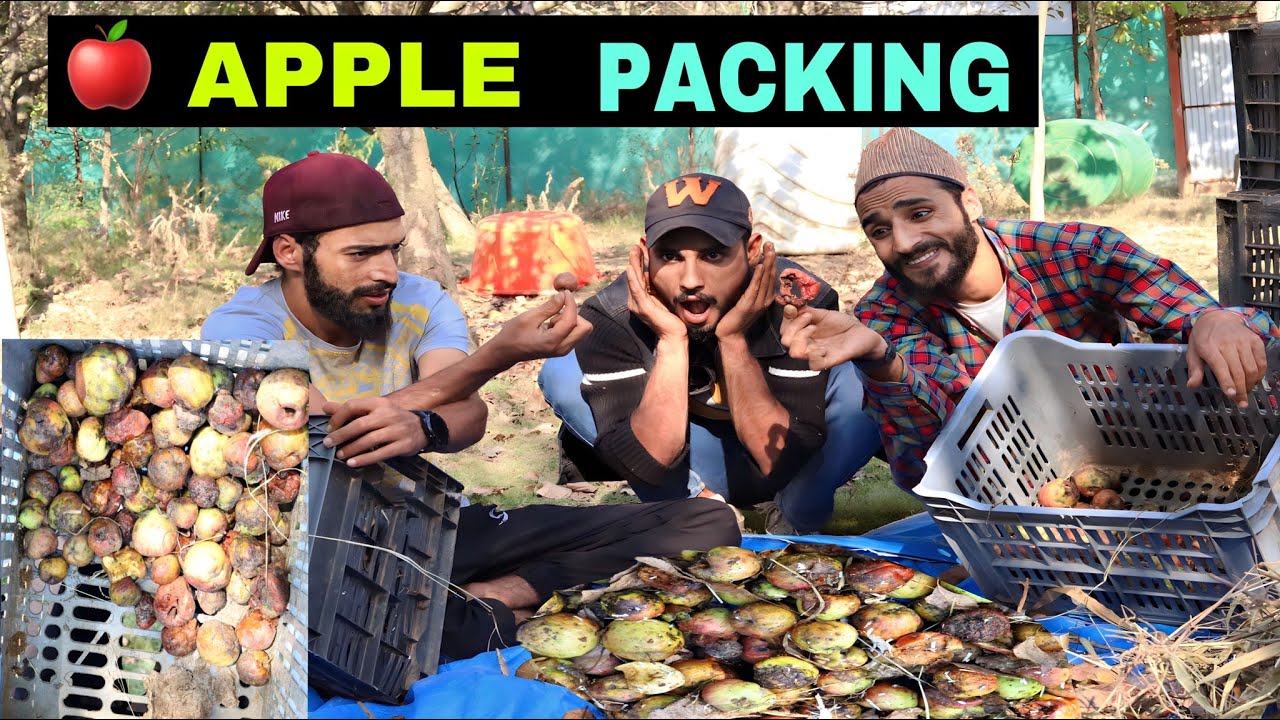 Hilarious Kashmiri Comedy Drama | Must-Watch Funny Video 😂