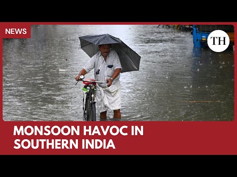 Heavy rain lashes Kerala, water released from Mullaperiyar dam