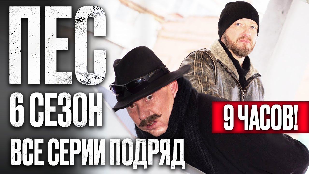 ПЕС 6 сезон – Полный сериал с 1 по 10 серию онлайн (2023) 🎬