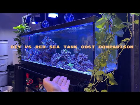 125 Gallon Reef Tank Build - Total Expense Breakdown and Comparison!