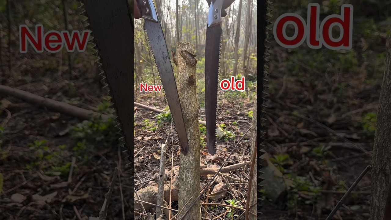 Hand Saw Tree Cutting | Satisfying Farming Clip