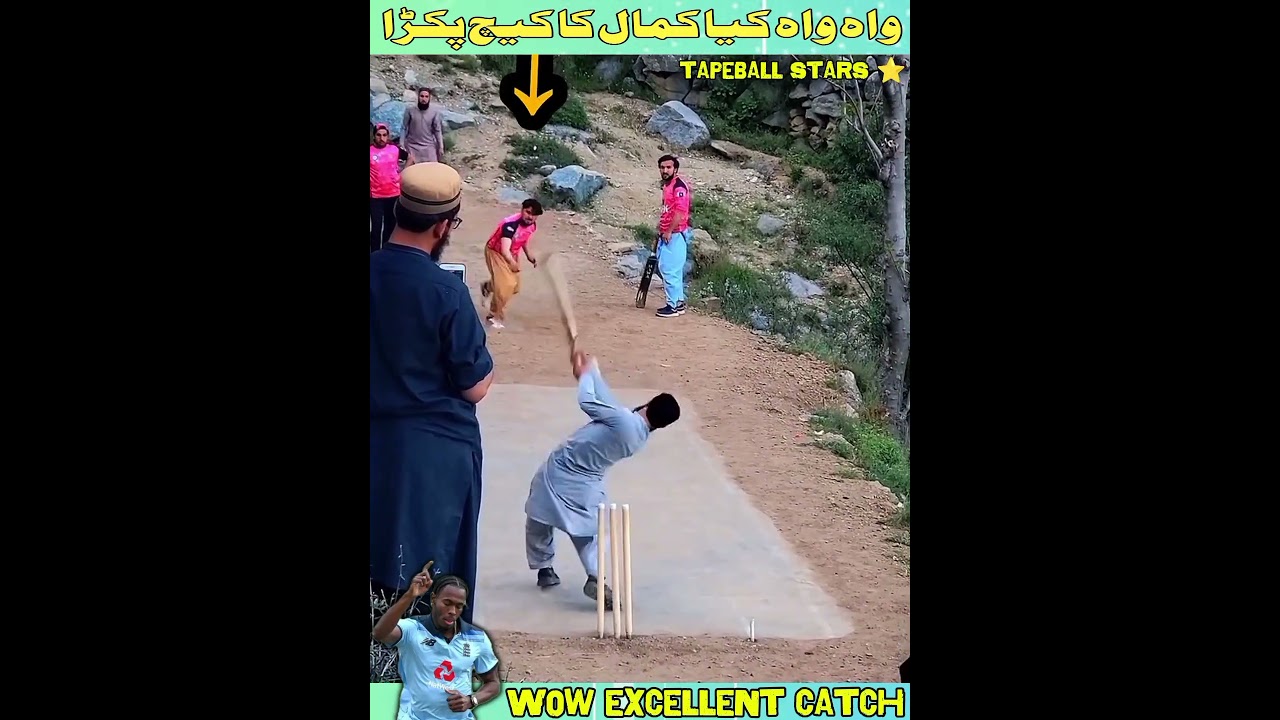 Unbelievable Tape Ball Cricket Catch! 🏏 Must-See Moments of 2025