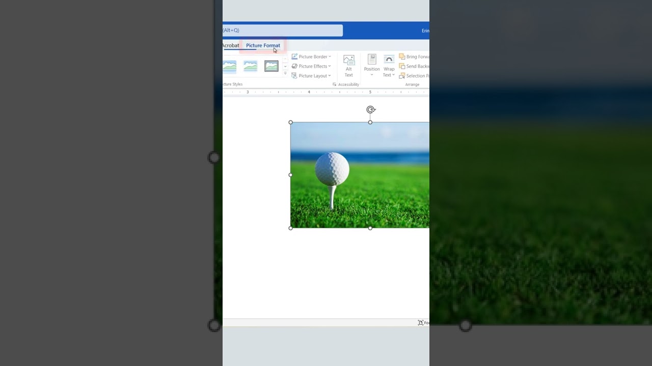 Flip Images in Word Vertically & Horizontally 📸