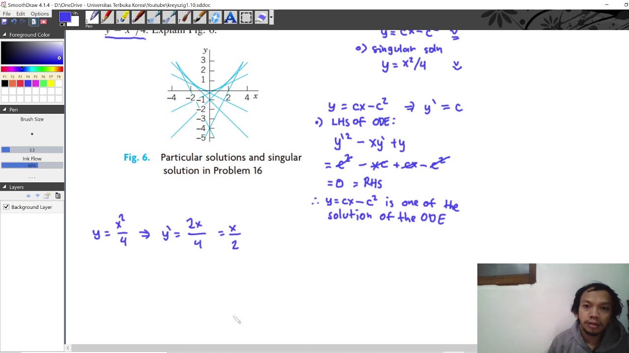 Understanding Singular Solutions in Differential Equations 📘