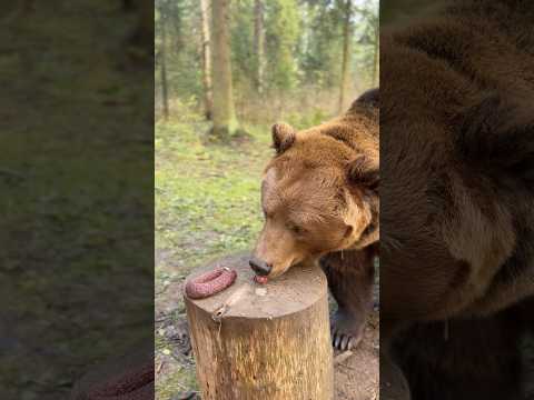 2 ноября 2025 г.