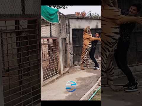 #animals #animal #transformation #growingup #transformation #hashtag #spider #100millon