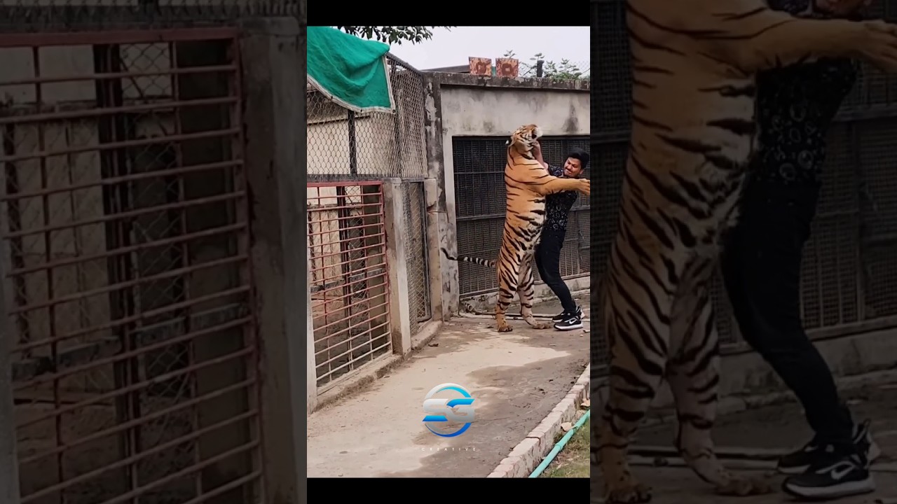 Incredible Spider Transformation: Watch Nature's Amazing Growth 🕷️