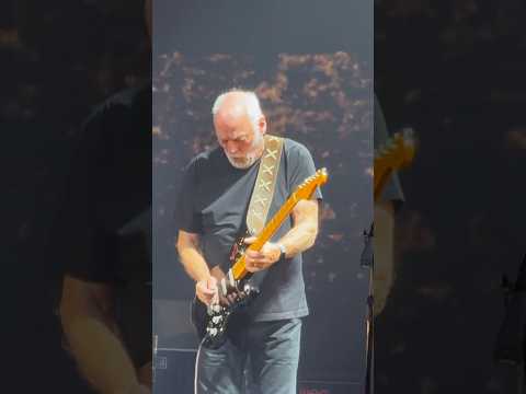 David Gilmour - In Any Tongue (Live at Royal Albert Hall, London 11 October 2024) #davidgilmour