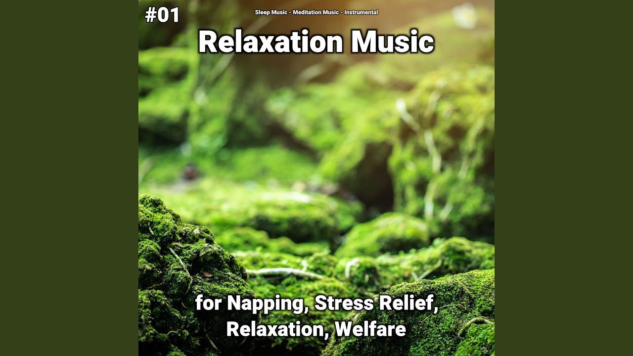 Chilling Atmosphere for Relaxation & Sleep 🎶