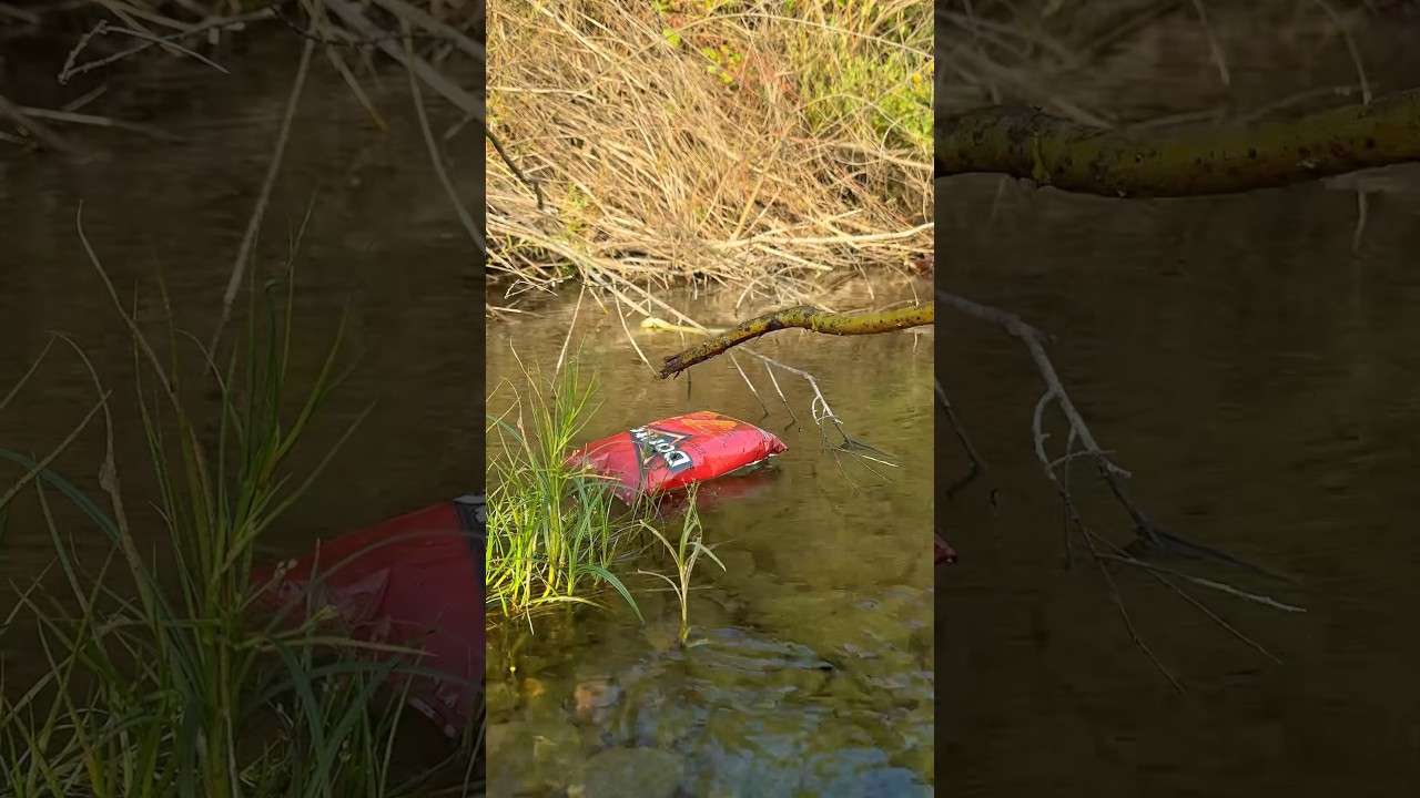 Master Essential Bushcraft & Survival Skills for Outdoor Adventures 🏕️